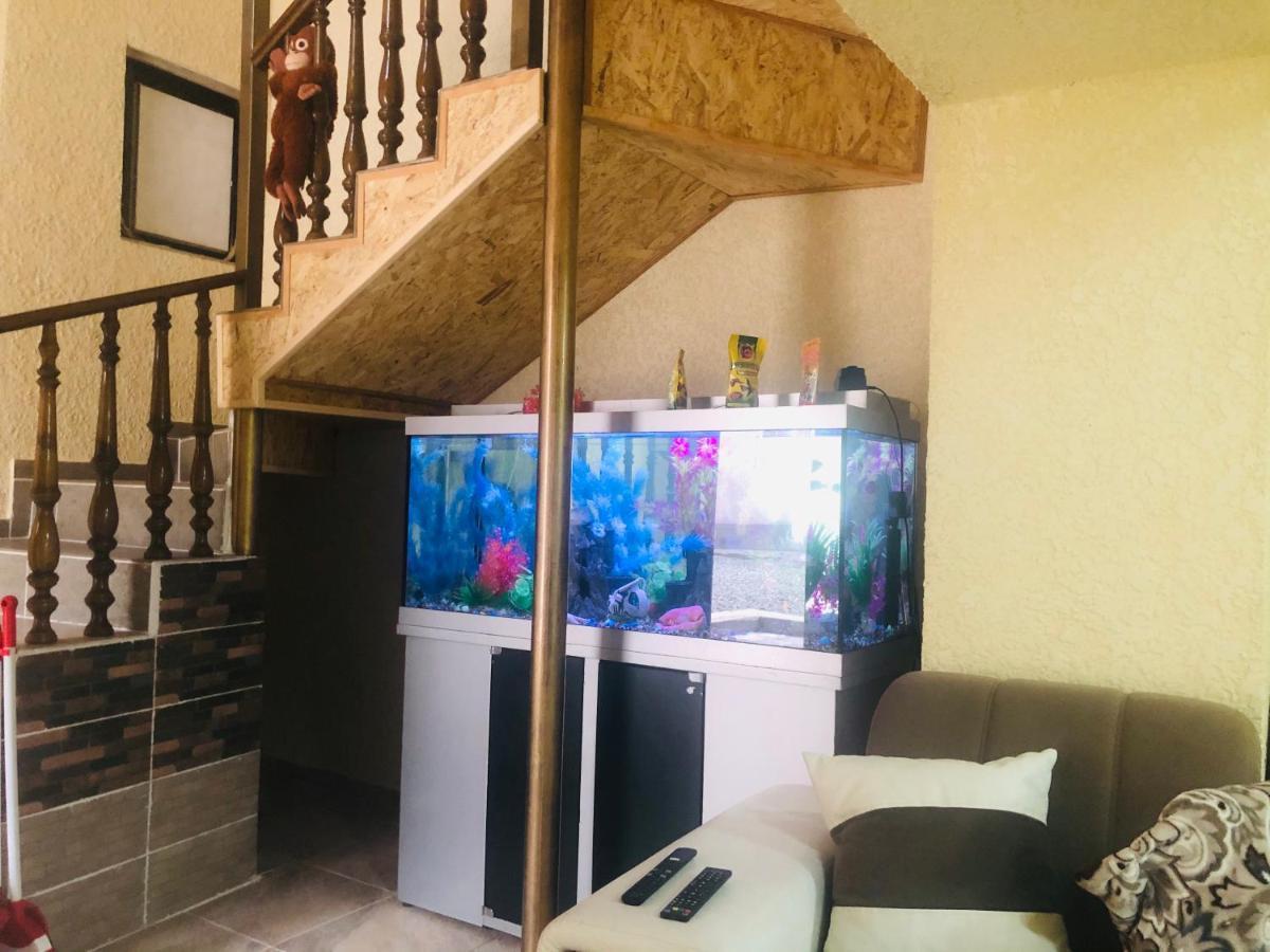 Sweet Home Hostel Bishkek Ngoại thất bức ảnh